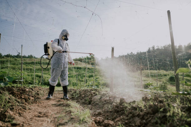 Pest Prevention Services in Orchard Grass Hills, KY