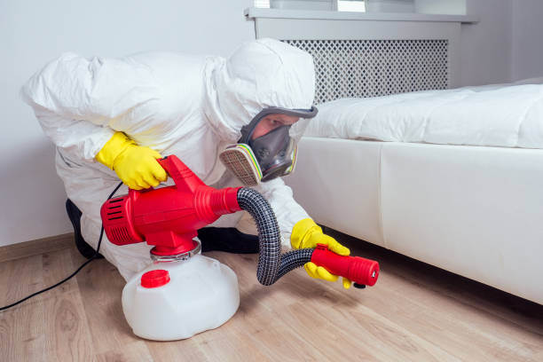 Best Wasp Removal Services  in Orchard Grass Hills, KY