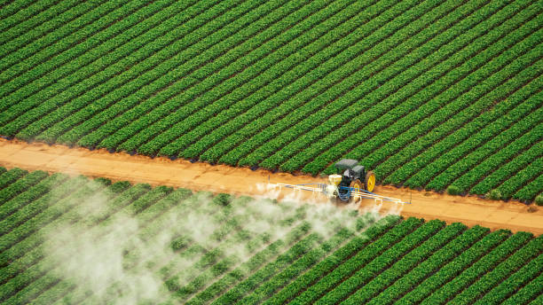 Best Local Pest Control Services  in Orchard Grass Hills, KY