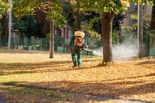 Best Best Pest Control Companies  in Orchard Grass Hills, KY