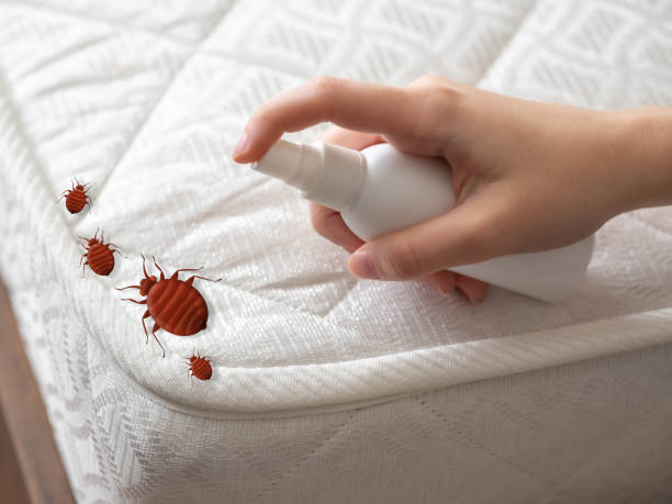 Pest Control for Restaurants in Orchard Grass Hills, KY