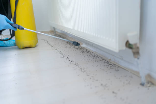 Best Cockroach Control Services  in Orchard Grass Hills, KY