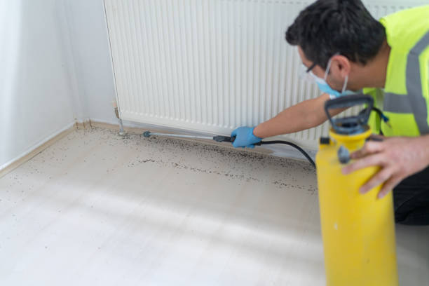 Wasp Removal Services in Orchard Grass Hills, KY