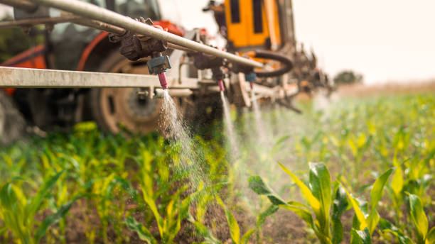 Best Affordable Pest Control Services  in Orchard Grass Hills, KY